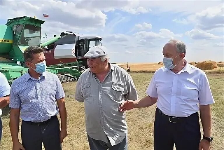 спк племзавод восток ставропольский край. ибрагим рубаев минсельхоз. фермерское хозяйство. землеводство казахстана. крестьянское хозяйство восток.