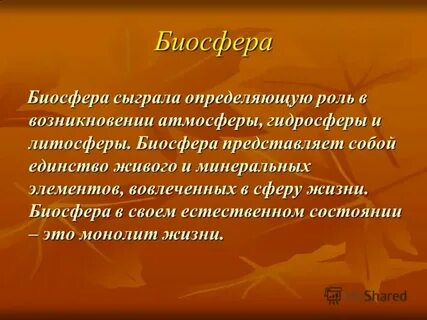 Какую роль играют простейшие в жизни человека