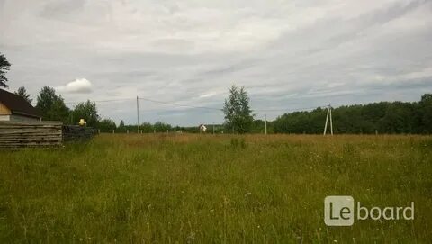 Краснополье тульская область