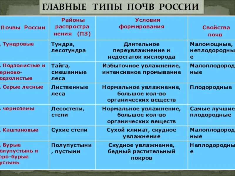 Таблица почв 7 класс география. Характеристика типов почв РФ. Характеристика почв России таблица 8 класс. Основные типы почв России таблица 8 класс география. Типы почв России условия формирования.