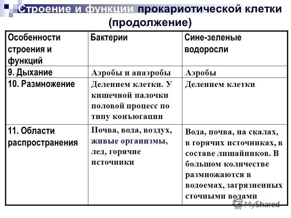 функции органоидов прокариотической клетки. особенности строения эукариотической клетки. функции органоидов прокариотической клетки. строение клетки эукариот таблица. строение эукариотической клетки таблица строение.