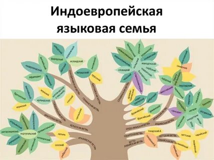 Языковая семья ветвь группа