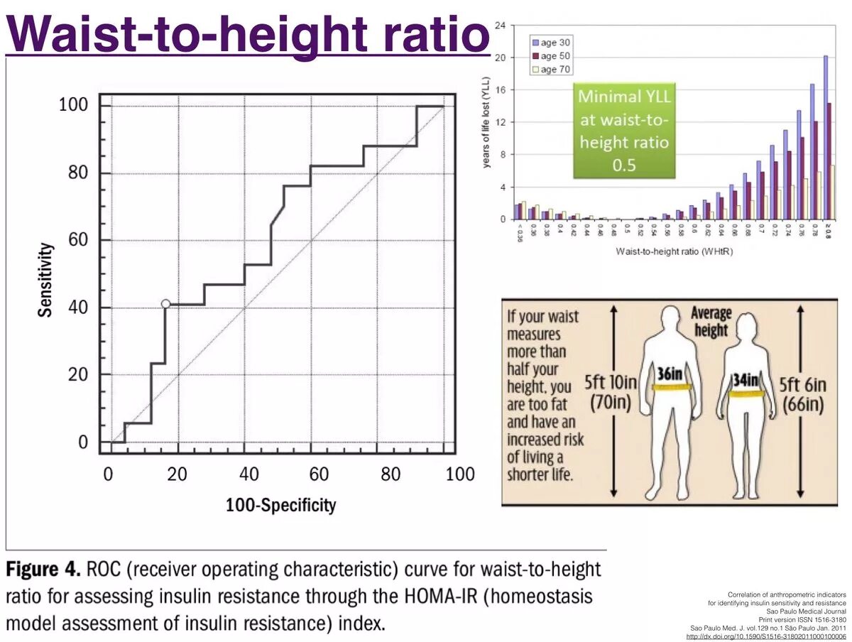 Height load. Waist height ratio. Индекс (Waist to Hip Rait). WHR отношение. Ratio метрики.