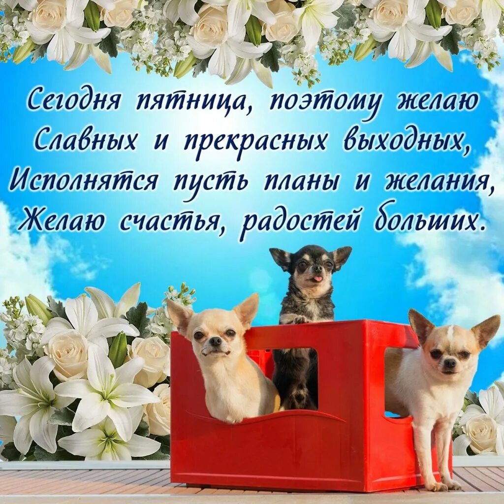 Удачного дня пятницы картинки. Открытки с пятницей. пожелания на пятницу. поздравление с окончанием рабочей недели. пожелания в конце рабочего дня.