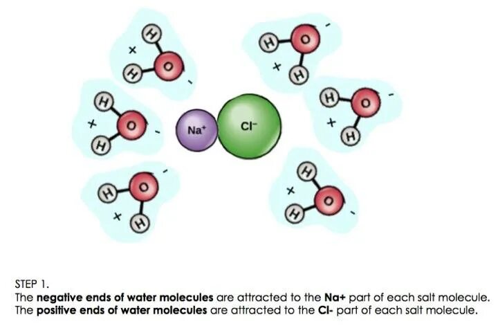 Negative end. Диэлектрик molecules 210мл. Opal fat solvent.