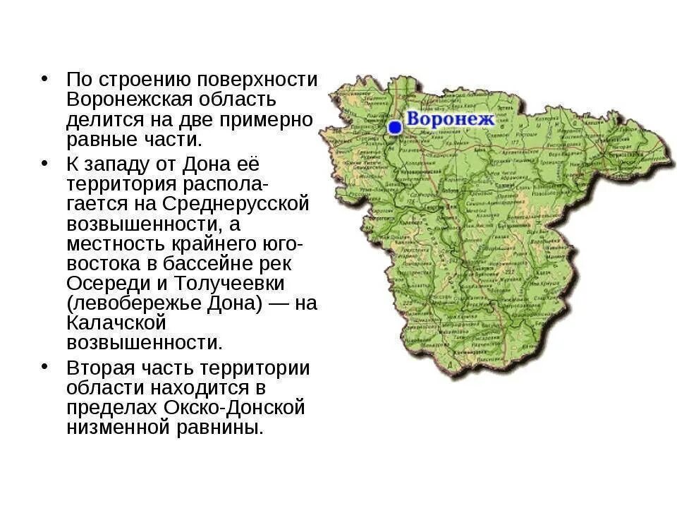 Краткая характеристика Воронежской области. Рельеф Воронежской области 4 класс. Карта рельефа Воронежской области. Физико географическое положение Воронежской области.