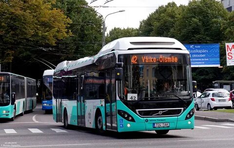 Tallinn bus