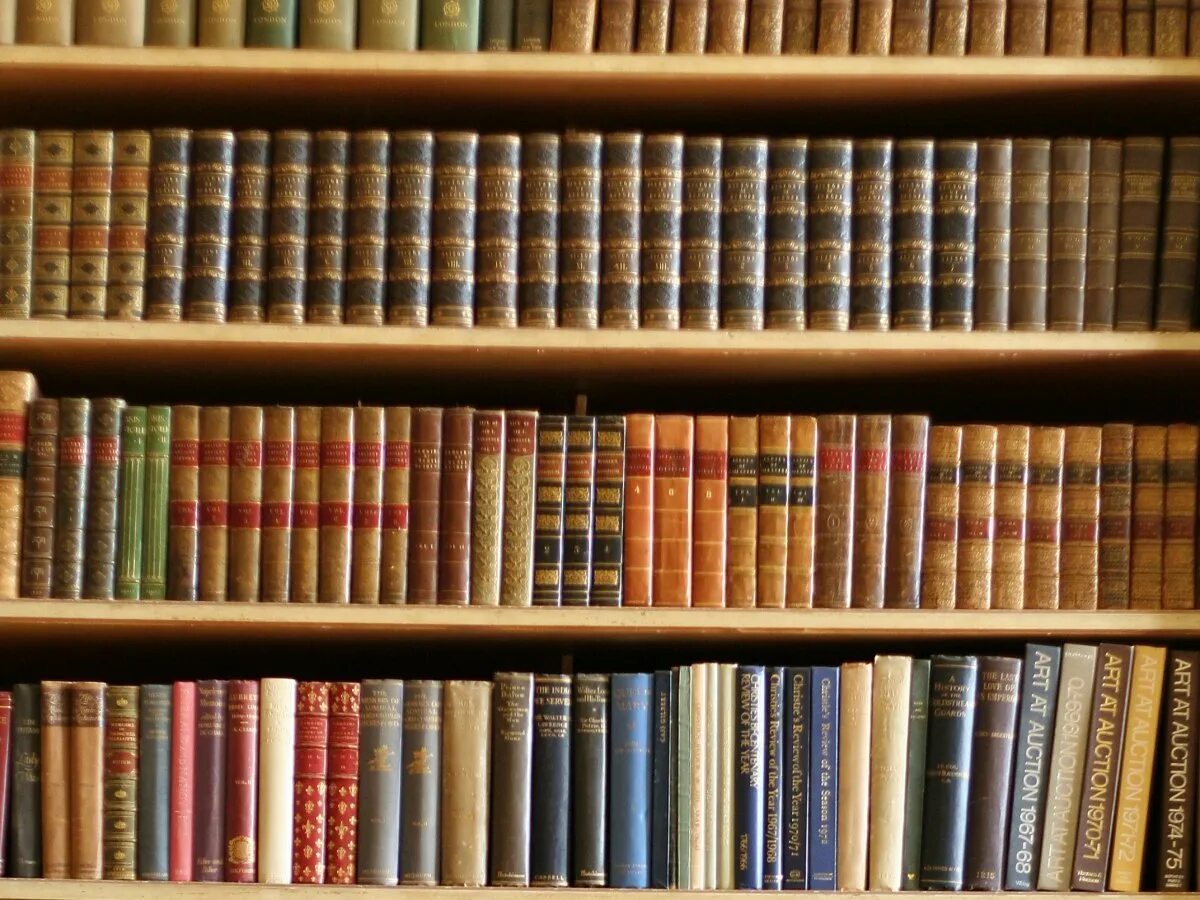 Библиотека сайт. Полка для книг. книжная полка с книгами. библиотека фон. фон стеллаж с книгами.
