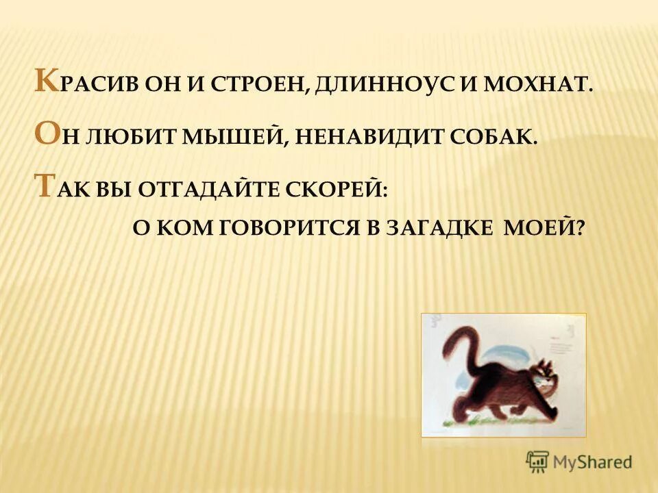 Характеристика героев рассказа кот ворюга паустовский