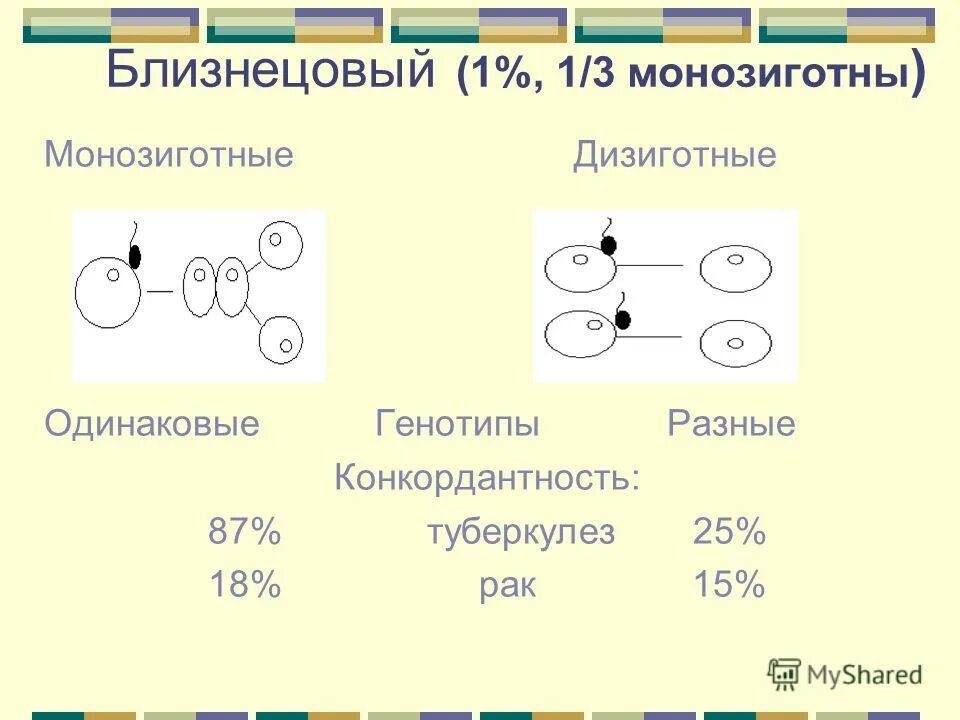 Генотипы 39