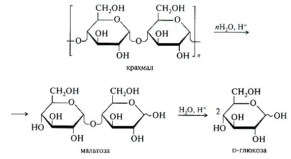 Неполный кислотного гидролиза крахмала. Полный гидролиз крахмала реакция. Ферментативный гидролиз крахмала реакция. Схема реакции гидролиза крахмала. Этапы расщепления крахмала