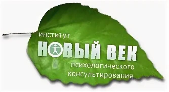Новый век курсы