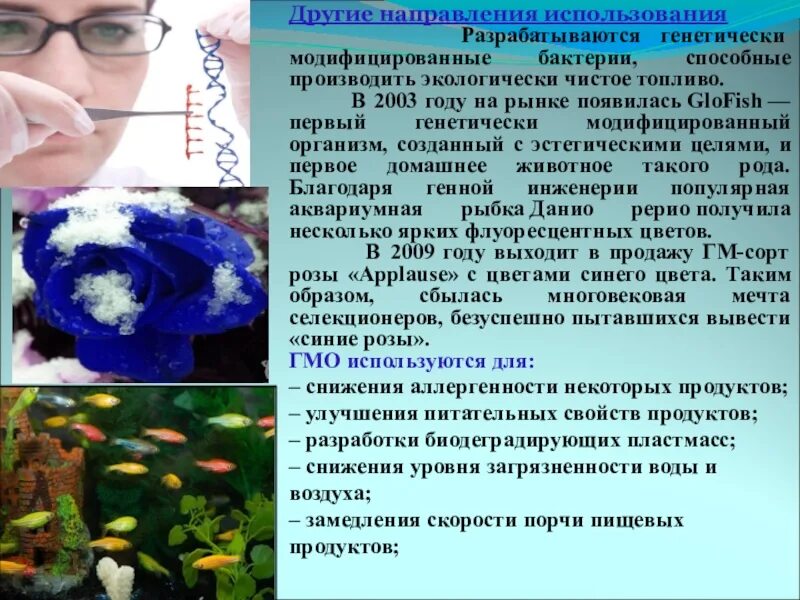 Генетически модифицированные люди. Генная модификация человека. роль гмо в жизни человека. роль генетически модифицированных растений в жизни человека. бактерии способные производить экологически чистое топливо.