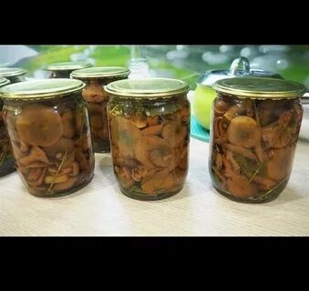 Соленые рыжики рецепт на зиму хрустящие