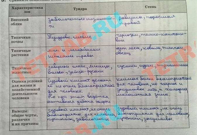 Сравнительная характеристика природных зон тундра и степь. Сравнение тундры и степи таблица. Сравнительная характеристика тундры и степи. Характеристика тундры и степи.