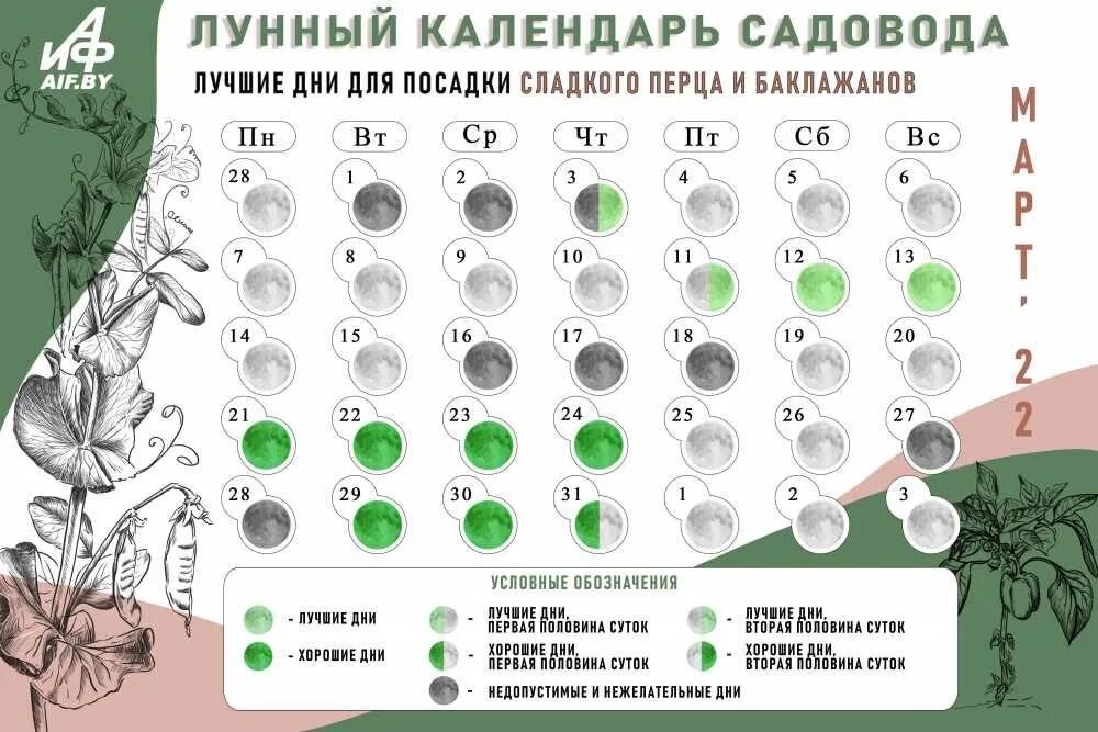 Лунно посевной календарь по дням на март. Лунный календарь. Лучшие дни для посадки помидор. Удачные дни в марте для посадки томатов. Лунный календарь для посадки помидор.