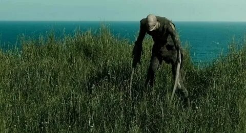 Мисс перегрин пустоты