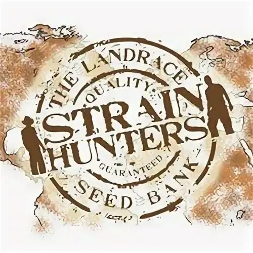 Strain Hunters logo. Сид банки