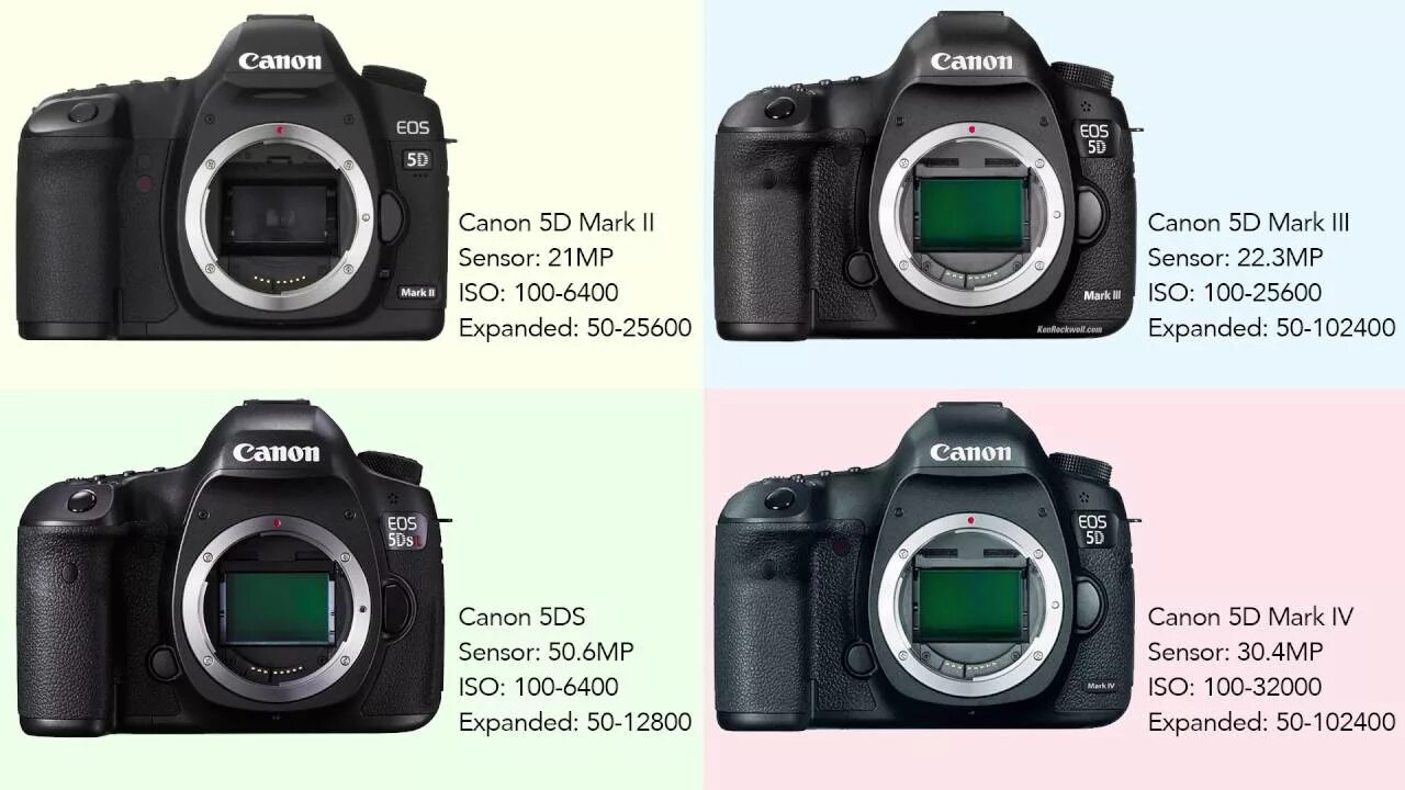 D 5 d 5 5 2d 1. Canon EOS 5d Mark IV. Canon EOS r7 комплектация. Canon 1dx Mark 3. ISO R Canon 5d mark2.