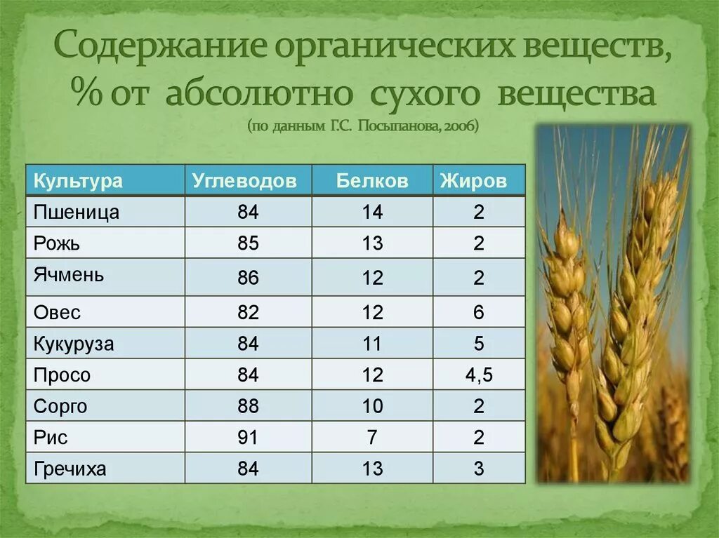 Ячмень состав. Таблица зерновых культур. Таблица злаковых культур. Появление зерновых культур. Зерновые культуры таблица.