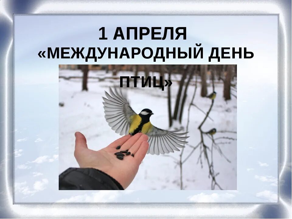 Люди не птицы 1 час. День птиц. Международный день птиц. 1 Апреля день птиц. Всемирный день птиц для детей.