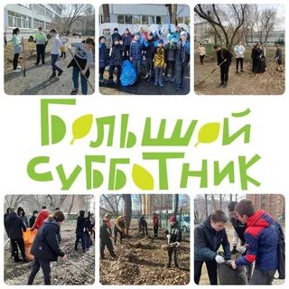 Сочинение субботник в школе