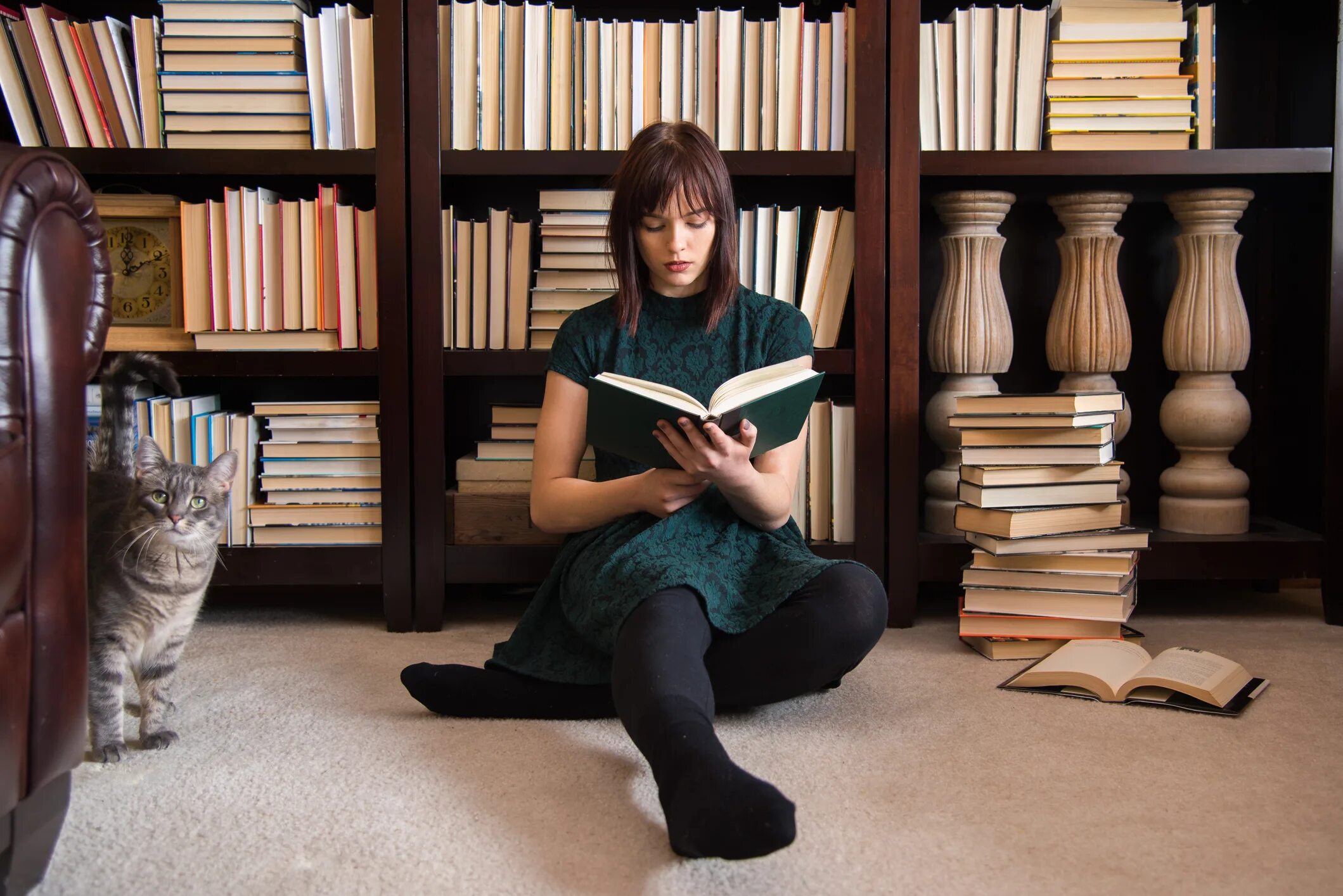 Прочесть интересную новую книгу. Девушка знания. сине зеленое человек читает книгу. сначала читайте. the woman who reads.