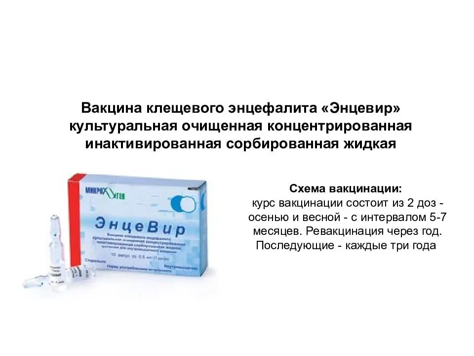 Вакцина от энцефалита название. Вакцина против клещевого энцефалита схема вакцинации. Энцевир вакцина клещевого энцефалита. Прививка о клещевого энцефалита схема вакцинации. Прививка против клещевого энцефалита схема вакцинации.