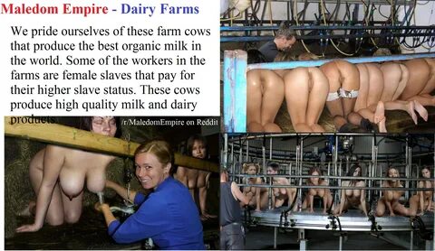 Bdsm Milking Stories.