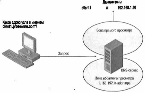 Зона обратного просмотра dns