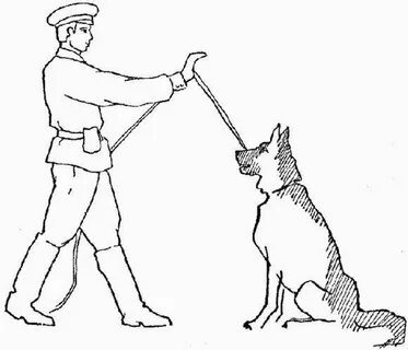 Giena Tactics Pogranichnik Images, Photos Mungfali