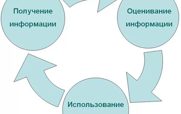 Об использовании информации сайта. Использование полученной информации. получение информации. применение информации. оценивание информации.