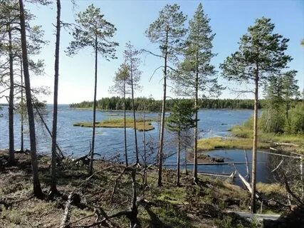 Кемь беломорск