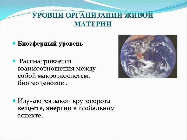 Биосферный уровень организации. Биосферный уровень организации жизни. Биосферный уровень жизни. Биосферный уровень организации живой материи.