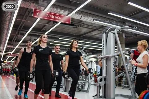 Фитнес арена 3000 ул