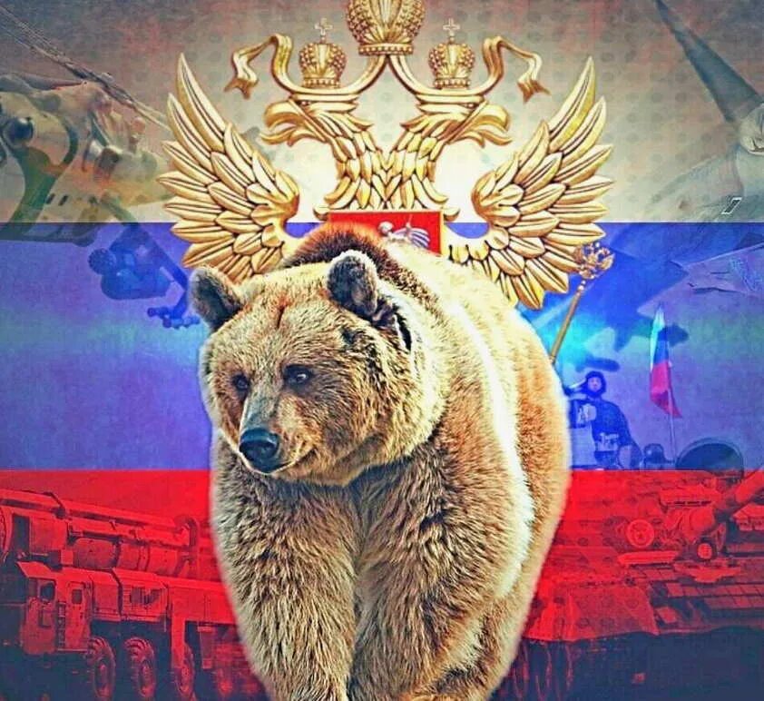 Русская медведь сил. Медведь символ. Медведь Россия. Бурый медведь символ России.