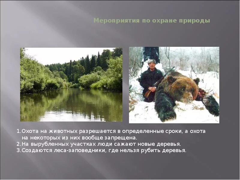 Мера природа пример