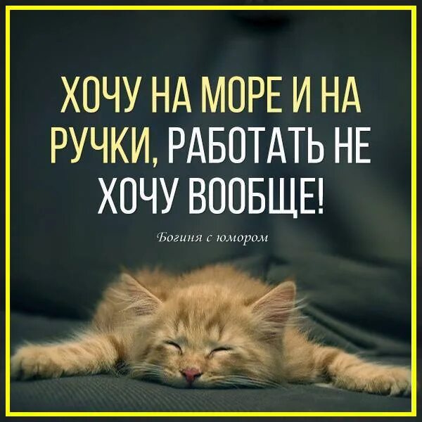 Устала вообще. Хочется на ручки. Хочу в отпуск и на ручки. Устала хочу на ручки. Хочу на ручки хочу.