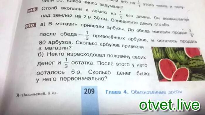 Задача есть дыня