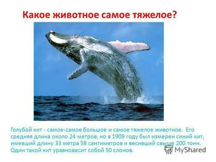 Самое тяжелое самое легкое