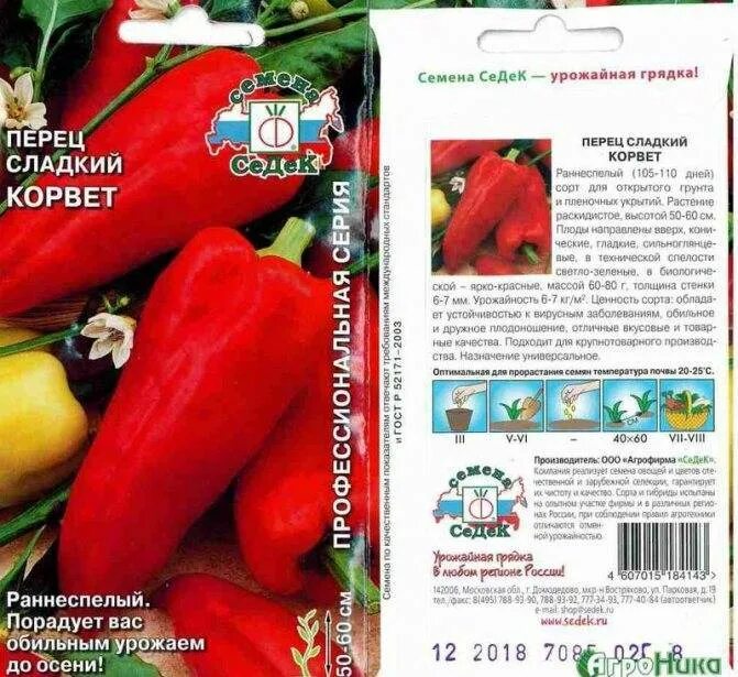 Ранние сорта перцев для грунта. Перец раннеспелый для открытого грунта. сорт фламинго перец. перец сладкий корвет. перец фламинго характеристика.