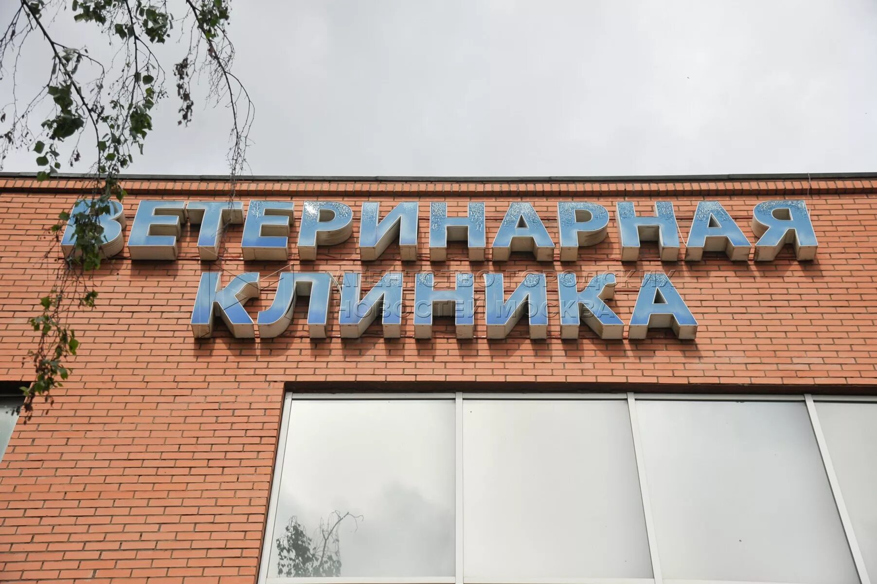 Первый ветеринарный центр бирюлево
