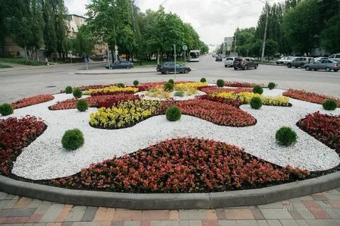 Красивые клумбы города