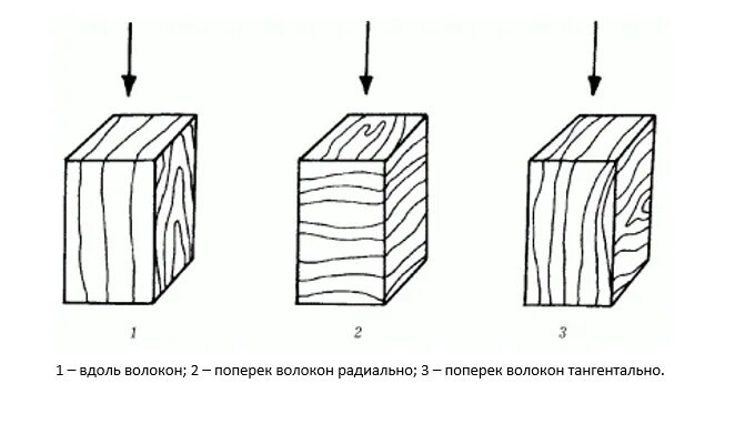 Вдоль и поперек. Вдоль волокон и поперек волокон дерево. Сжатие древесины поперек волокон. Прочность древесины поперек волокон. Сжатие вдоль волокон древесины.