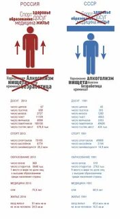 Сходства советского и современного образования