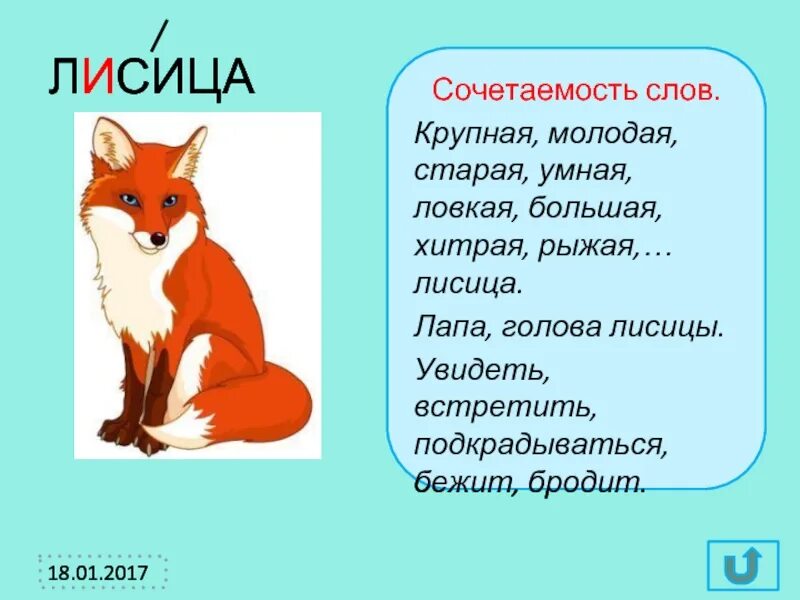 Fox word. Фразеологизмы про лису. Фразеологизмы лиса. Фразеологизмы к слову лиса. Словарное слово лиса.