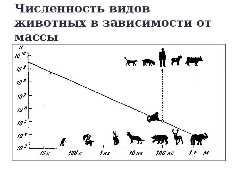 Численность видов животных. Виды численности. Численность животных в мире. Количество видов. Как изменится численность мышей и коз