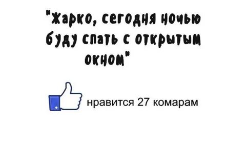 Высказывания о нравы
