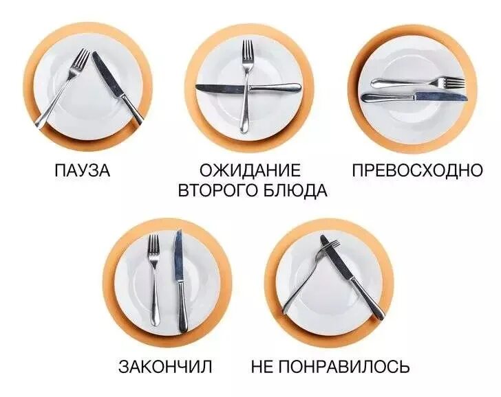 Как положить вилку и нож если понравилось. Положение приборов на таралк. расположение приборов на тарелке. складывать приборы после еды. положение вилки и ножа после еды.