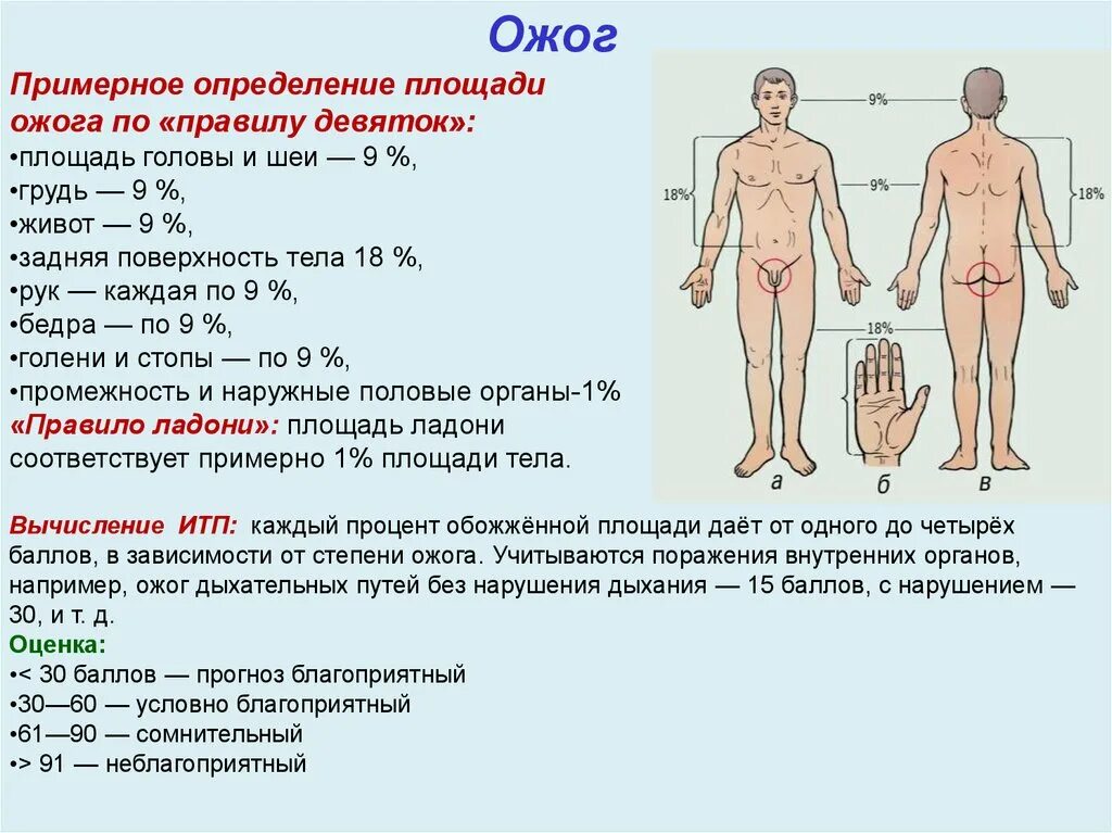 Ожоги проценты поражения. Оценка площади ожога проводится по схеме. Площадь ожогаэт. Площадь поражения при ожогах.